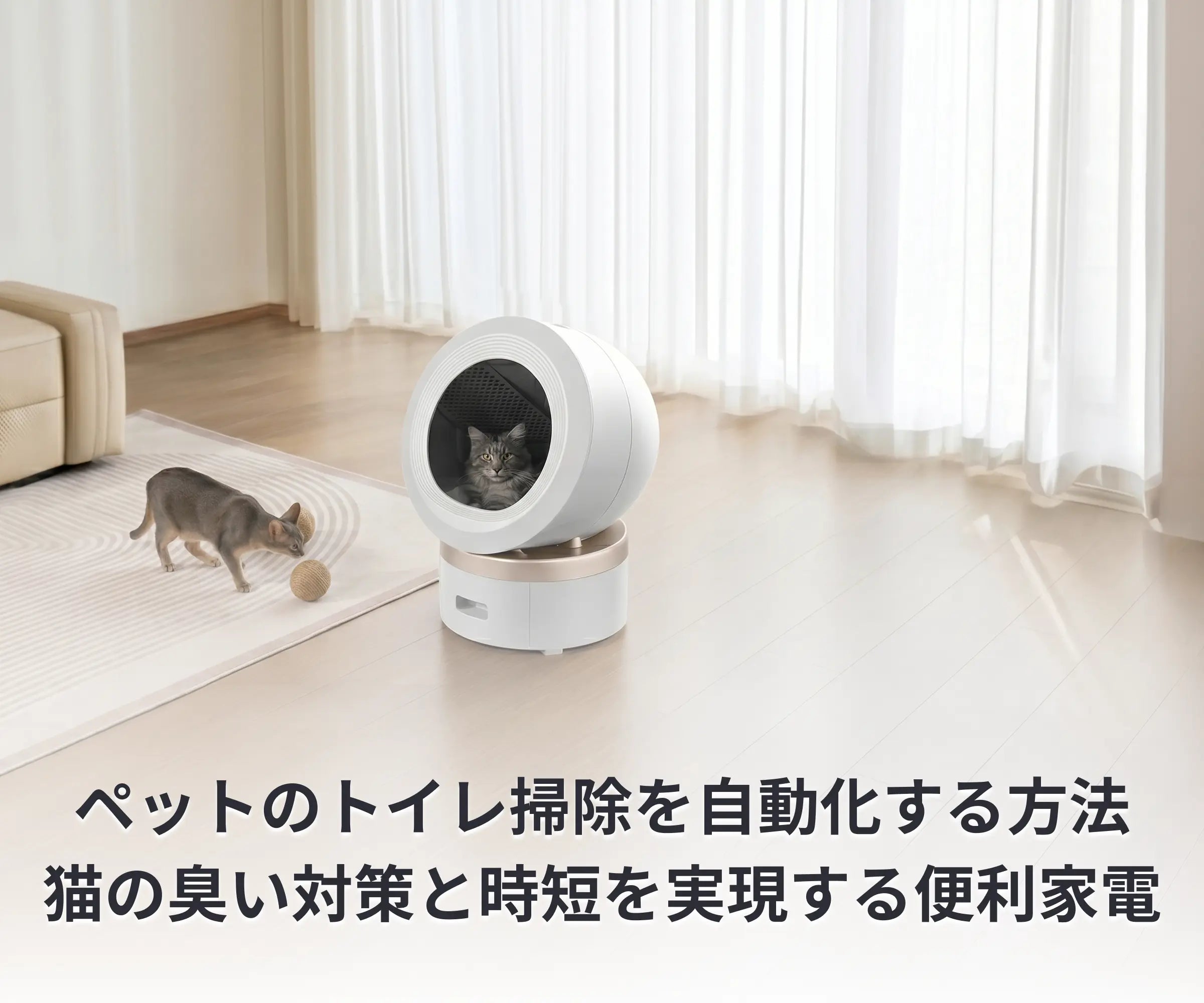 ペットのトイレ掃除を自動化する方法｜猫の臭い対策と時短を実現する便利家電